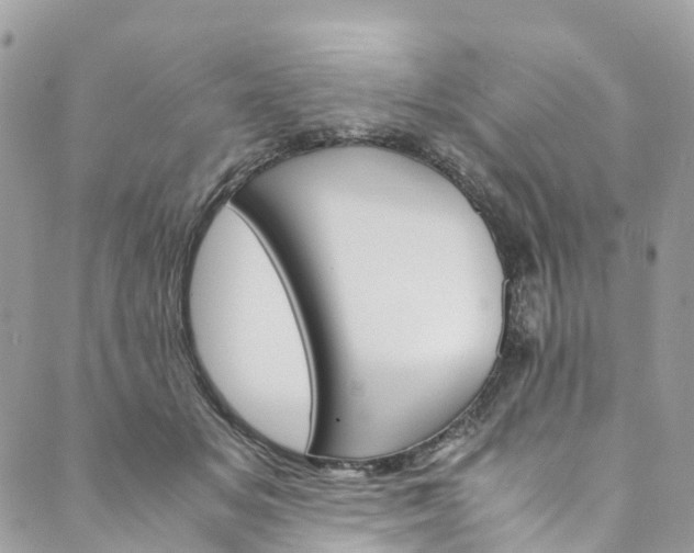 X0000089430509200706291317