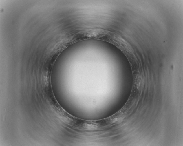 X0000089430510200706291317