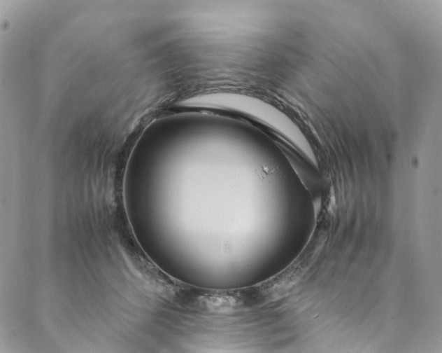 X0000089430512200706291317