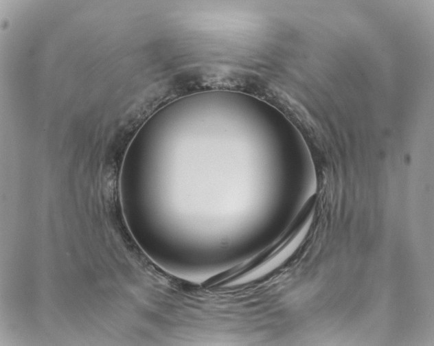 X0000089430513200706291317