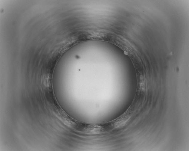 X0000089430514200706291317