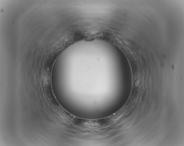 X0000089430515200706291317