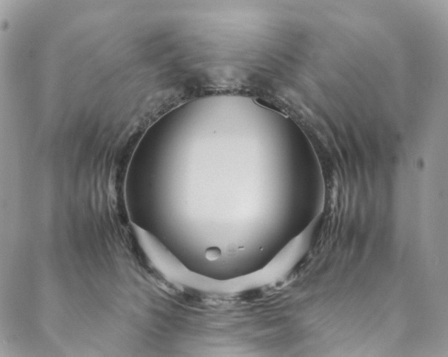 X0000089430516200706291317