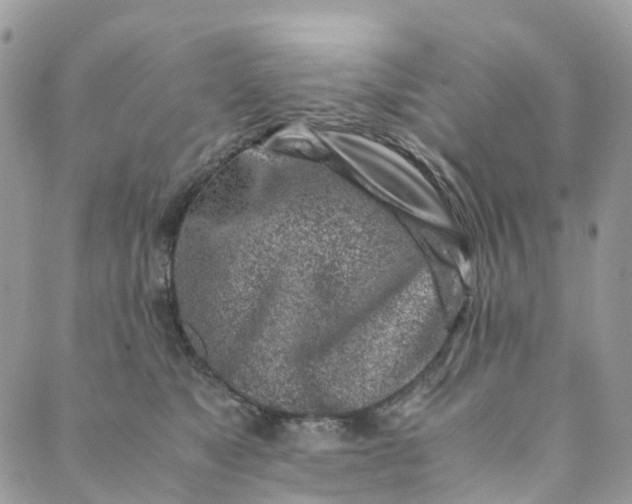 X0000089430517200706291317