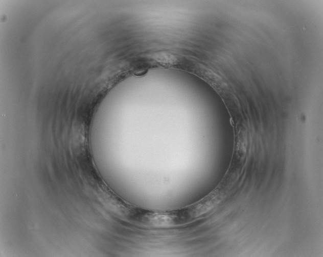 X0000089430518200706291317