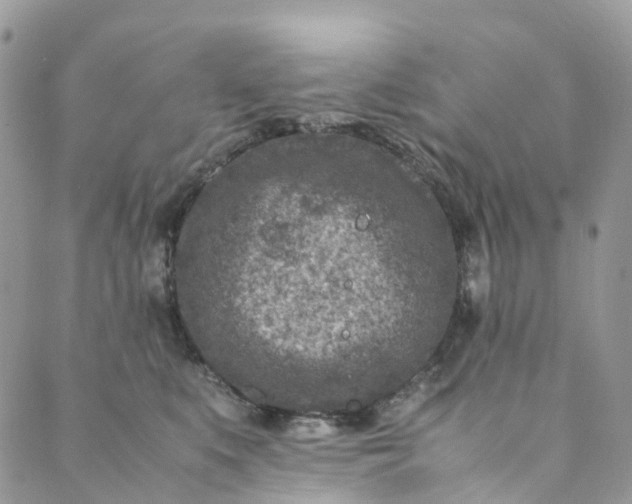 X0000089430519200706291317