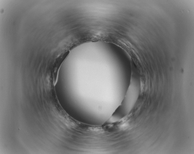 X0000089430520200706291317