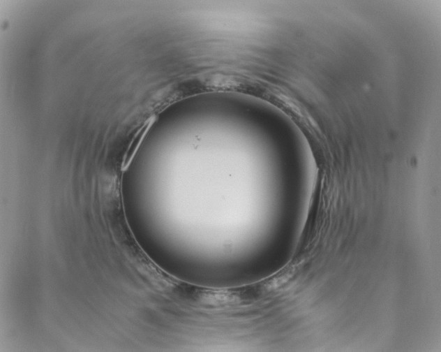 X0000089430521200706291317