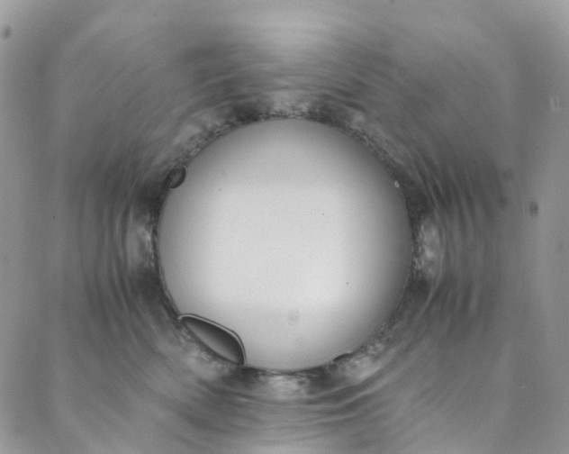 X0000089430522200706291317