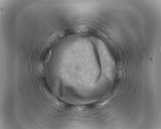 X0000089430523200706291317