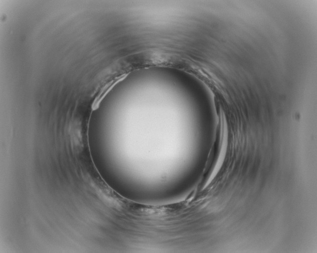 X0000089430524200706291317