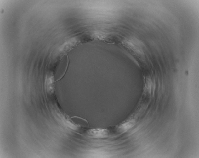 X0000089430526200706291317