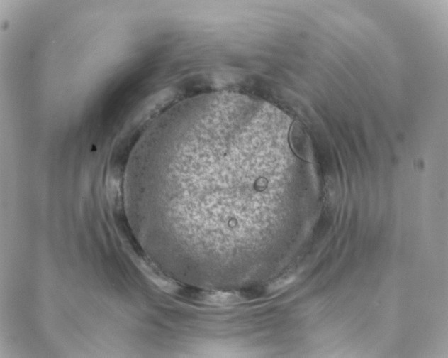 X0000089430527200706291317