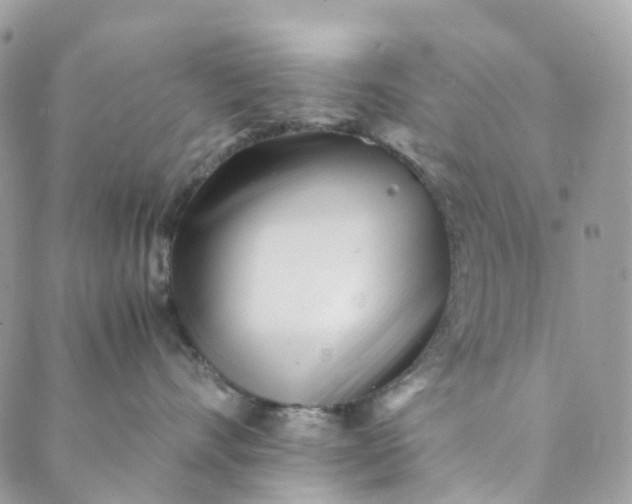 X0000089430528200706291317