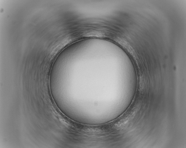 X0000089430529200706291316