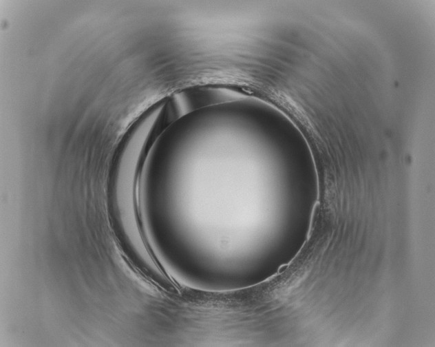 X0000089430530200706291316