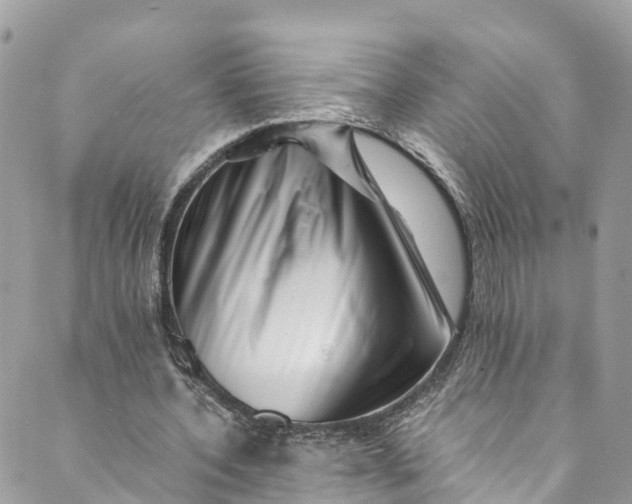 X0000089430532200706291316