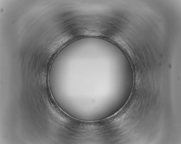 X0000089430533200706291316