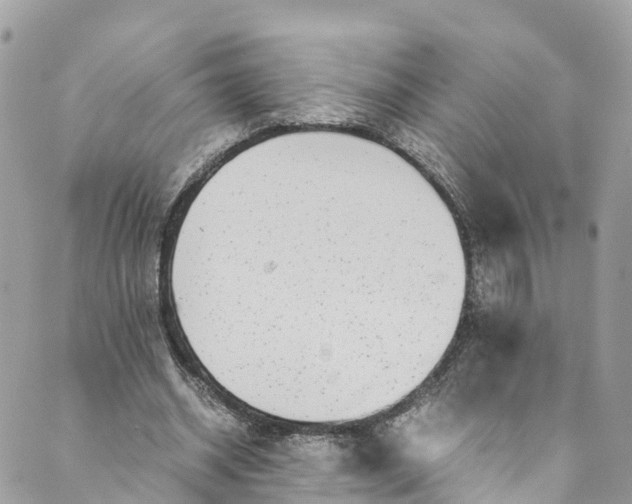 X0000089430534200706291316