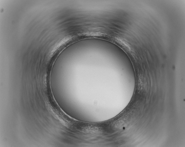 X0000089430535200706291316