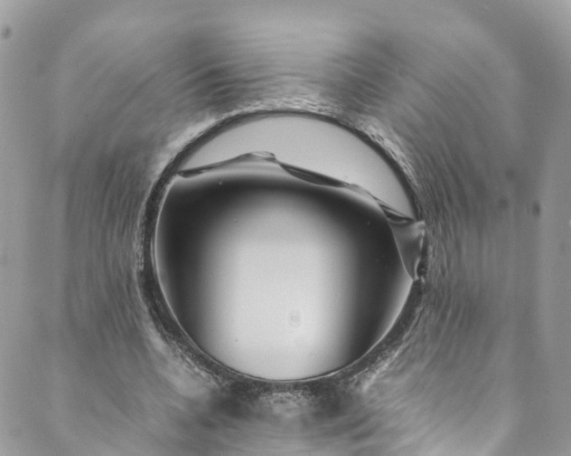 X0000089430536200706291316