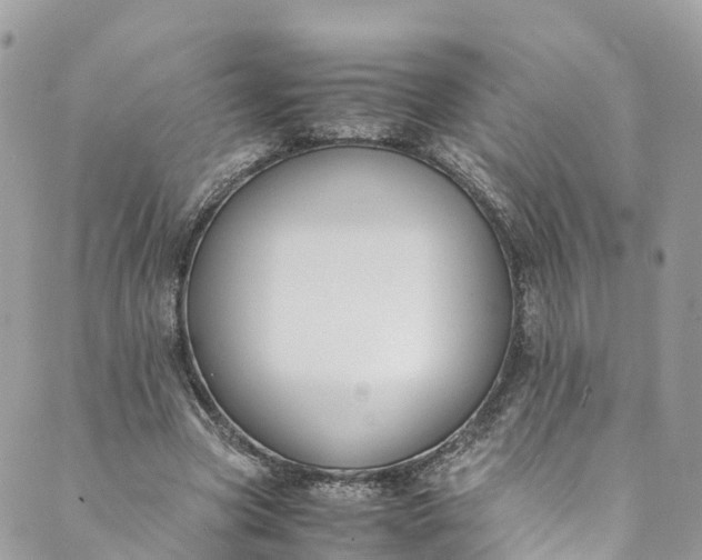 X0000089430537200706291316