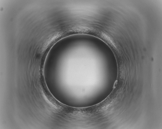 X0000089430538200706291316