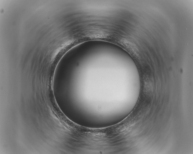 X0000089430539200706291316