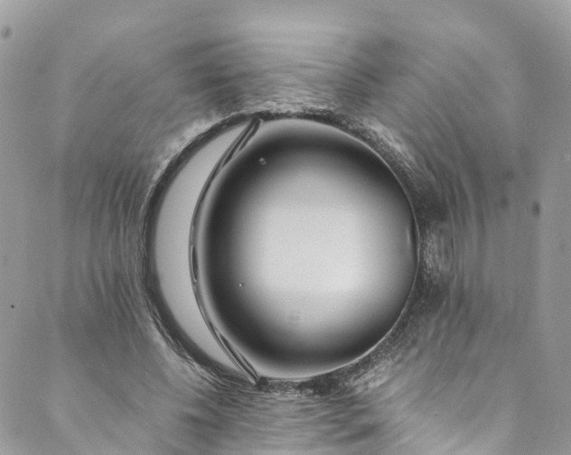 X0000089430540200706291316