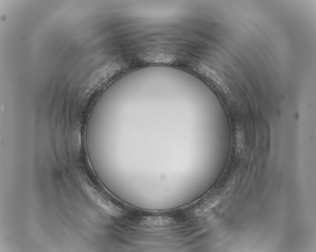 X0000089430541200706291316