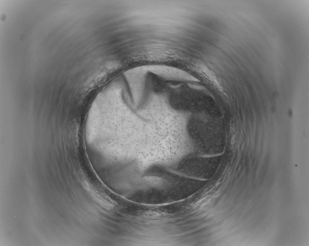 X0000089430542200706291317