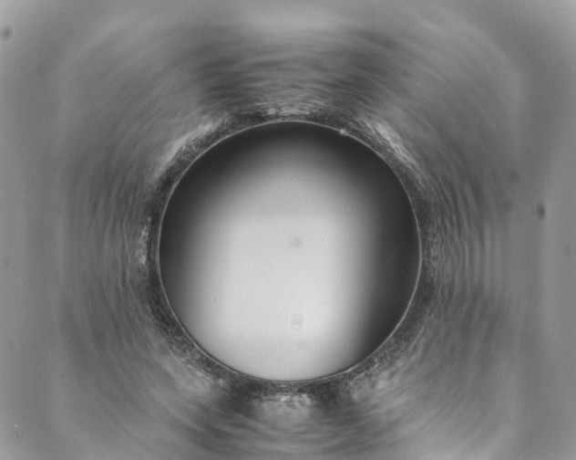 X0000089430543200706291317