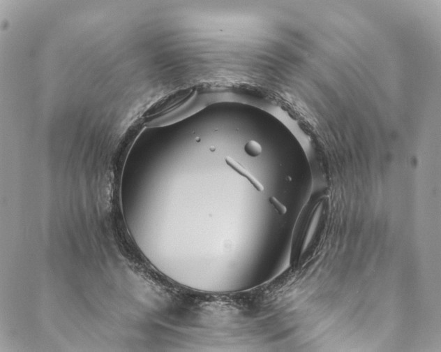 X0000089430544200706291317