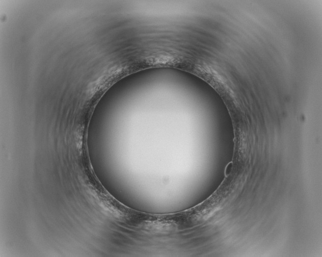 X0000089430545200706291317