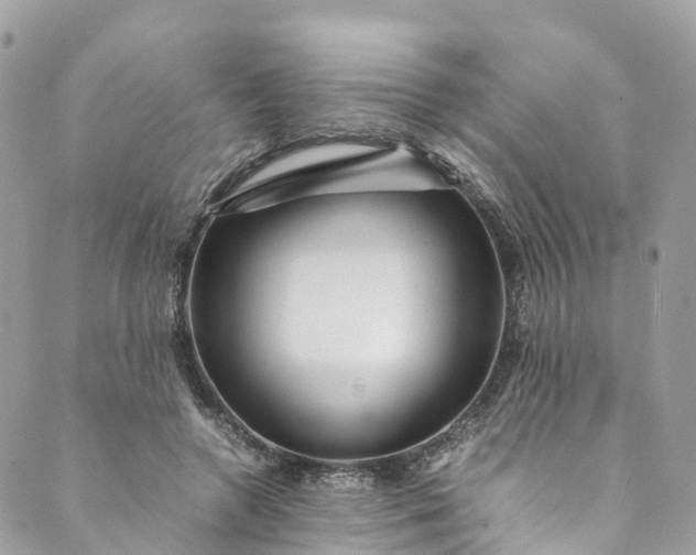 X0000089430546200706291317