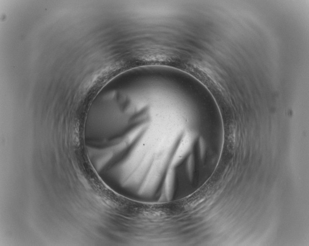 X0000089430547200706291317