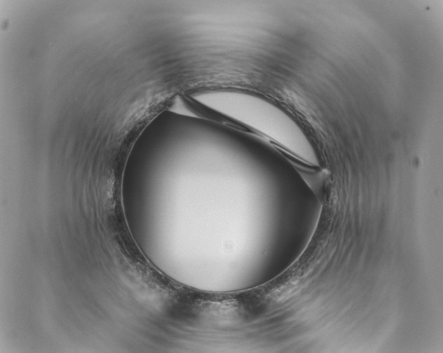 X0000089430548200706291317