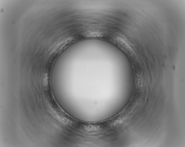 X0000089430549200706291317