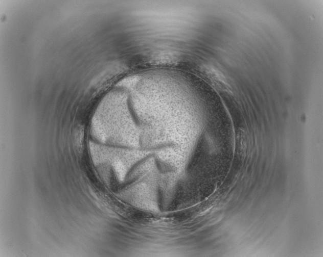 X0000089430550200706291317