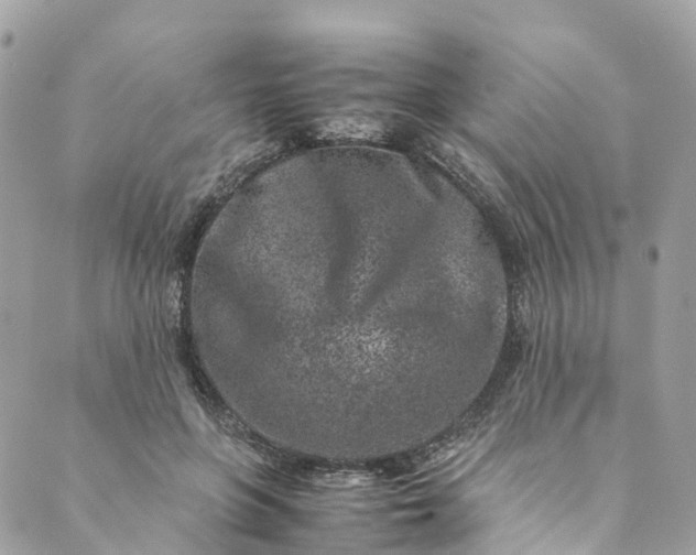 X0000089430551200706291317