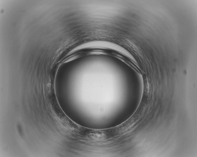 X0000089430552200706291317