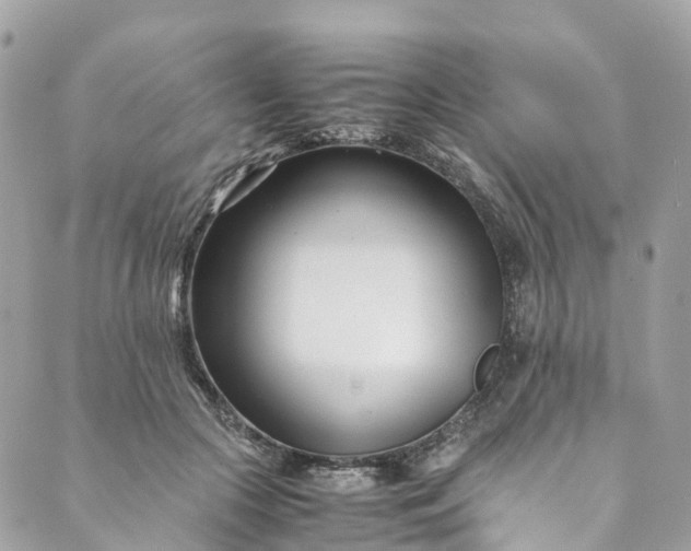 X0000089430553200706291317