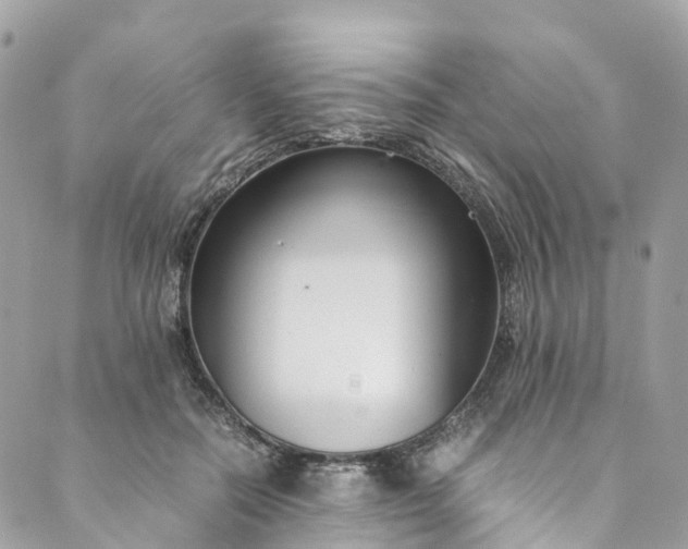 X0000089430554200706291317