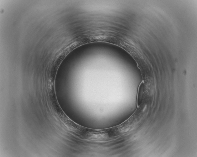 X0000089430555200706291317