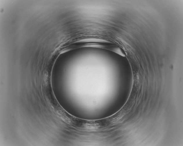 X0000089430556200706291317