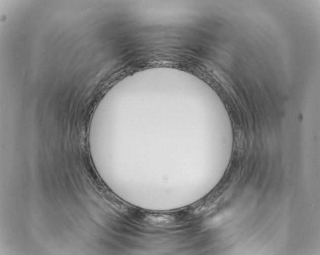 X0000089430557200706291317