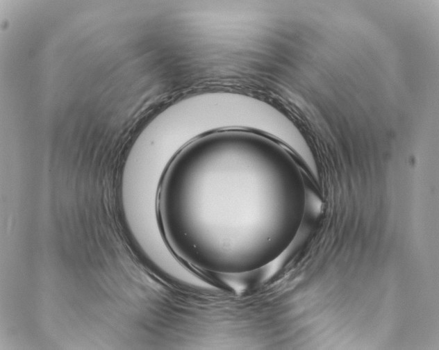 X0000089430558200706291317