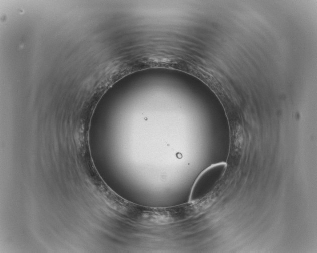 X0000089430559200706291317