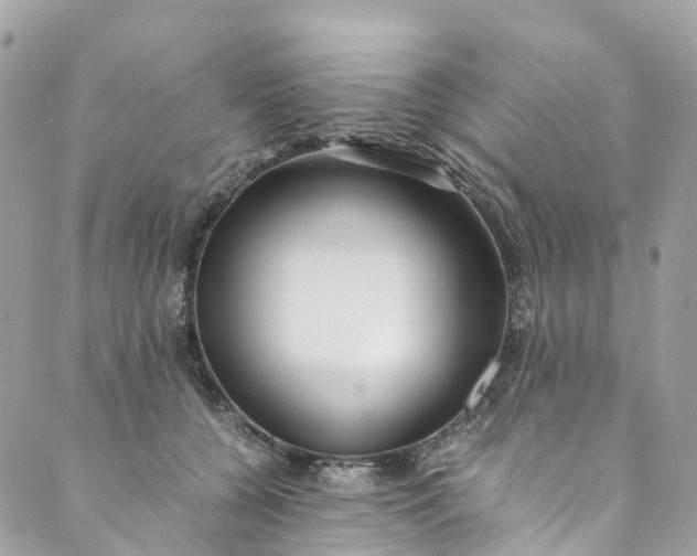 X0000089430560200706291317