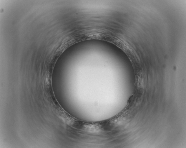 X0000089430561200706291317